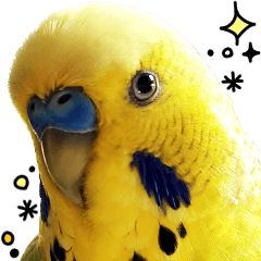 inko no oujisama ai wo sakebe