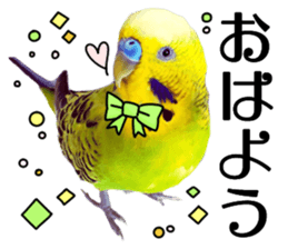 inko no oujisama ai wo sakebe sticker #14311998