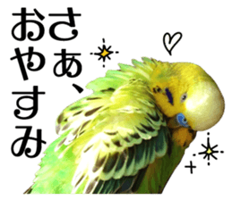 inko no oujisama ai wo sakebe sticker #14312002