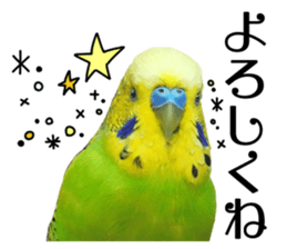 inko no oujisama ai wo sakebe sticker #14312003