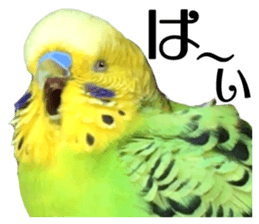 inko no oujisama ai wo sakebe sticker #14312004