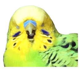 inko no oujisama ai wo sakebe sticker #14312006