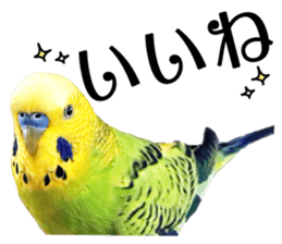 inko no oujisama ai wo sakebe sticker #14312009