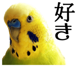 inko no oujisama ai wo sakebe sticker #14312011