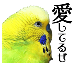 inko no oujisama ai wo sakebe sticker #14312012