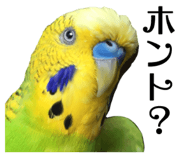 inko no oujisama ai wo sakebe sticker #14312013