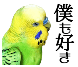 inko no oujisama ai wo sakebe sticker #14312014