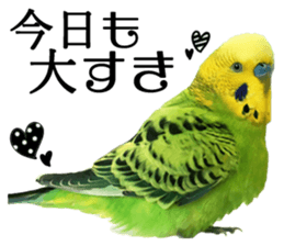 inko no oujisama ai wo sakebe sticker #14312015