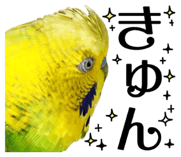 inko no oujisama ai wo sakebe sticker #14312017