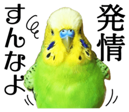 inko no oujisama ai wo sakebe sticker #14312018