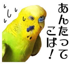 inko no oujisama ai wo sakebe sticker #14312022