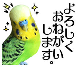 inko no oujisama ai wo sakebe sticker #14312023