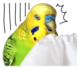 inko no oujisama ai wo sakebe sticker #14312024