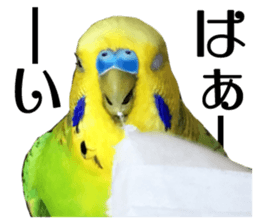 inko no oujisama ai wo sakebe sticker #14312026