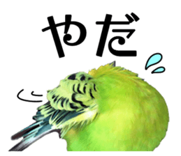 inko no oujisama ai wo sakebe sticker #14312027