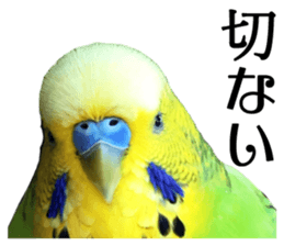 inko no oujisama ai wo sakebe sticker #14312028