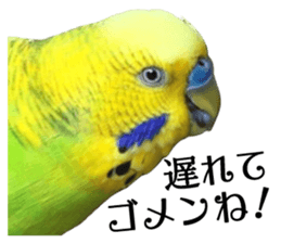 inko no oujisama ai wo sakebe sticker #14312031