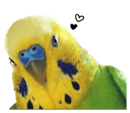 inko no oujisama ai wo sakebe sticker #14312034