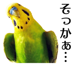 inko no oujisama ai wo sakebe sticker #14312036