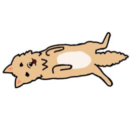 cute dog everyday part2 sticker #14314279