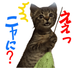 Kotatsu-chan sticker #14314888