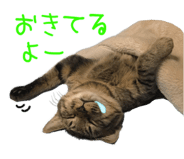 Kotatsu-chan sticker #14314891