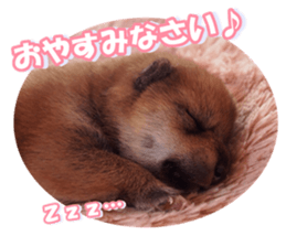shibainufan sticker #14315348