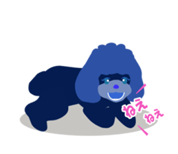 ToyPoodle Dog Berry's cute daily sticker sticker #14317855