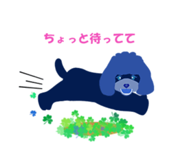 ToyPoodle Dog Berry's cute daily sticker sticker #14317867