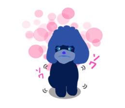 ToyPoodle Dog Berry's cute daily sticker sticker #14317872