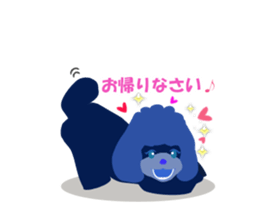 ToyPoodle Dog Berry's cute daily sticker sticker #14317875