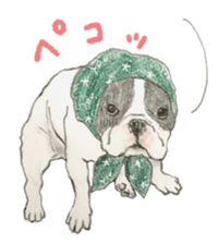 French bulldog & friends Sticker sticker #14320394