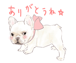 French bulldog & friends Sticker sticker #14320395