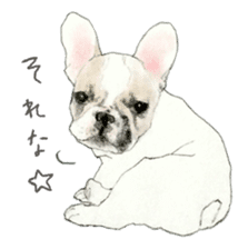 French bulldog & friends Sticker sticker #14320402