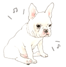 French bulldog & friends Sticker sticker #14320418