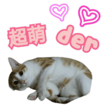 lucky cat cute for you sticker #14323403