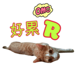 lucky cat cute for you sticker #14323405