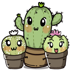 The Cactus Playground Gang