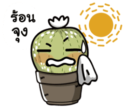 The Cactus Playground Gang sticker #14324802