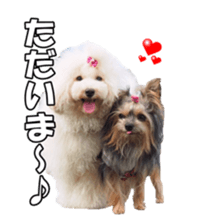 sorakirafan sticker #14325183