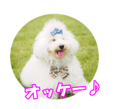 sorakirafan sticker #14325191