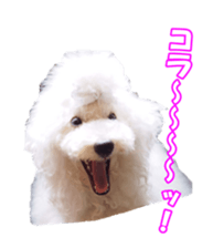 sorakirafan sticker #14325192