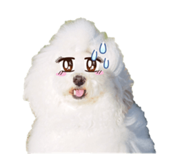 sorakirafan sticker #14325197