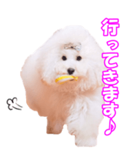 sorakirafan sticker #14325200