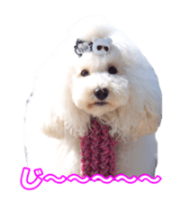 sorakirafan sticker #14325206