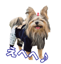 sorakirafan sticker #14325207