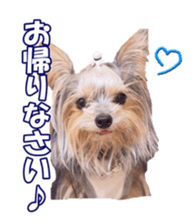 sorakirafan sticker #14325209