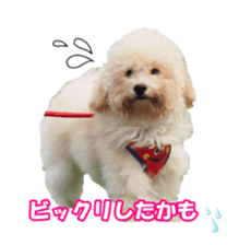 sorakirafan sticker #14325211