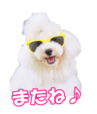 sorakirafan sticker #14325213