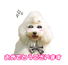 sorakirafan sticker #14325214